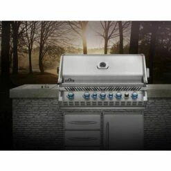 Barbecue à Gaz Napoleon BIPRO 665 Encastrable -France Barbecue Soldes Boutique 17885766 2