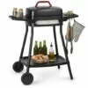 Klarstein Gatsby Grill électrique 2000W 4 Pieds Acier Inox -noir -France Barbecue Soldes Boutique 18135695 1