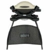 Barbecue Weber - à Gaz - Q1000 - Avec Pied - Titanium -France Barbecue Soldes Boutique 27235997 1