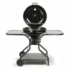 LIVOO FEEL GOOD MOMENTS Livoo - Barbecue Charbon Avec Tablettes DOC246 - Noir