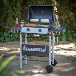 LOLAHOME Barbecue à Gaz Annika Avec 2 Brûleurs En Acier Noir 105x49x100 Cm