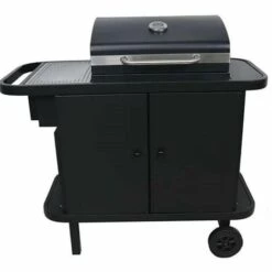 Barbecue START'N'GRILL Au Charbon De Bois - Allumage Automatique