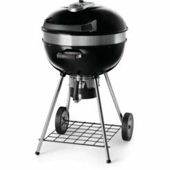 Barbecue NAPOLEON Pro 22K Charbon De Bois
