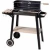 BBQ Barbecue Rectangulaire Au Charbon De Bois 54x34x6,5cm